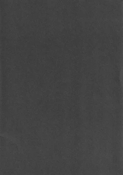 Page 2 of IRIOMOTE] Dai Juugo Kai Reitaisai Kaijou Genteibon