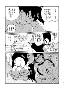 Page 19 of Gokuu to Vegeta no Boys Love