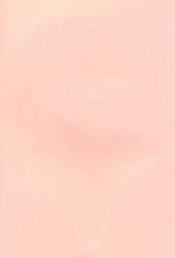 Page 2 of Bakusun Attention! Burst!! Count Down 0.1