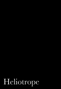 Page 24 of Heliotrope