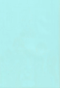 Page 2 of Pillow Color