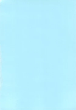 Page 4 of Kotoba ni Dekinai