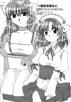 Page 22 of NEKOMANGA DAIOH