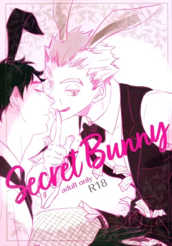 Page 1 of Secret Bunny