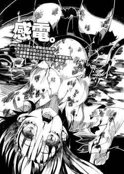 Page 8 of HEAD SHOT File.00