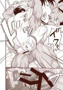 Page 28 of Araba Koso