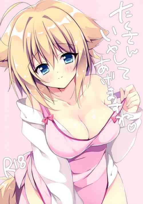 Download Takusan Iyashite Agemasu ne