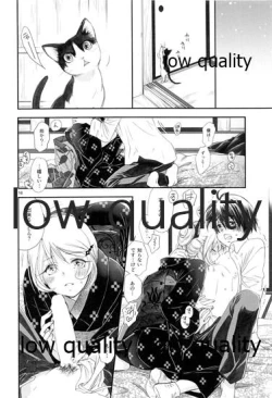 Page 15 of 匣の中の猫