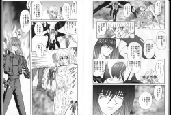 Page 49 of Shalader Vol. 2 - The Past and the Future