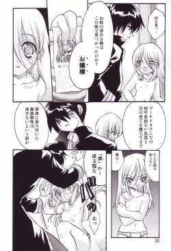 Page 29 of Fuyu no Arashi