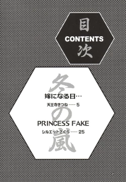 Page 3 of Fuyu no Arashi