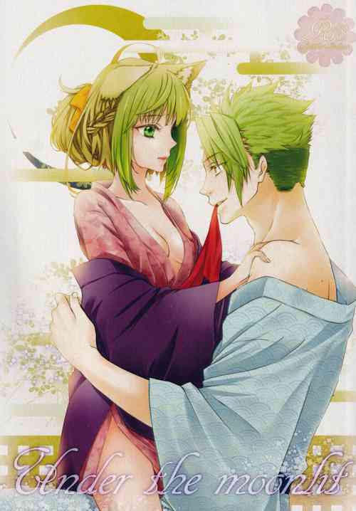 Download Under the moonlit