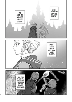 Page 6 of Saiba Breath of the Wild Collection