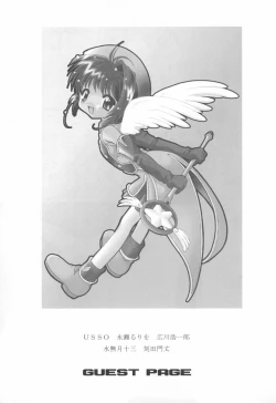 Page 17 of ClampCaptors