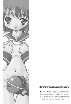 Page 4 of ClampCaptors