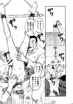 Page 252 of Comic Hime Dorobou 2006-11