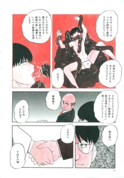 Page 14 of Accel Bomber