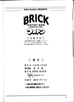 Page 21 of Brick