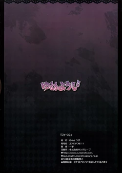 Page 16 of DY-02