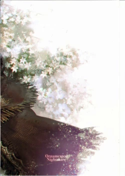 Page 21 of Ornamented Nightmare