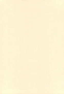 Page 4 of TWIST TWINS 2