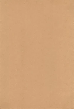 Page 3 of MID Ichi Ni San Shi