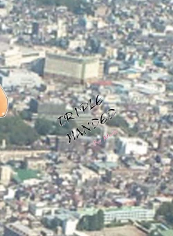 Page 28 of TRIPLE HANDED