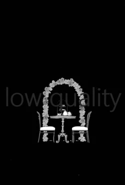 Page 2 of accomplice