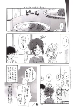 Page 21 of Seiya