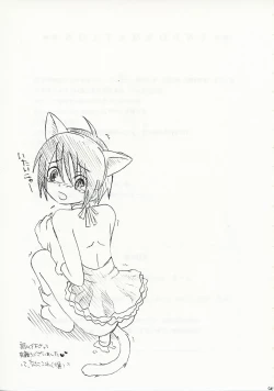 Page 45 of Kino no Tabi Seijin muke Sakuhin Shuu