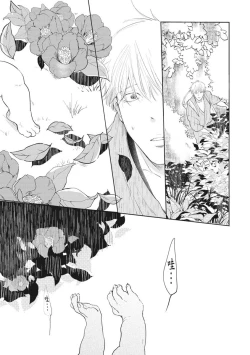 Page 10 of Akatsubaki | 红椿