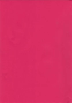 Page 43 of Shonen Knife | 少年的刀