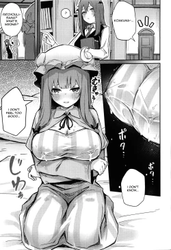 Page 4 of Patchouli ga Koakuma ni Shiborareru Hon