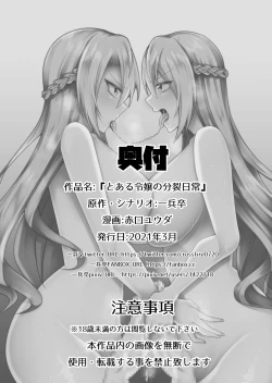 Page 28 of Toaru Reijou no Bunretsu Nichijou