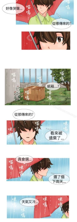 Page 4 of 小野貓馴服手冊
