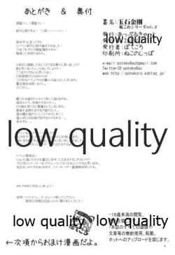 Page 14 of Gyokuseki Kongou