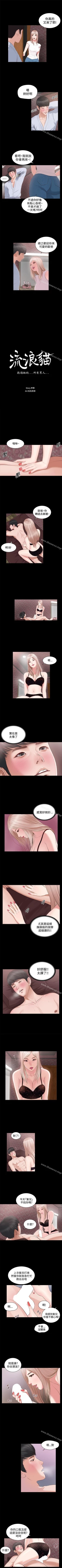 Page 29 of 流浪貓 1-40