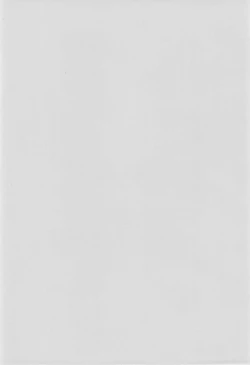 Page 4 of MAIDENHEAD 5