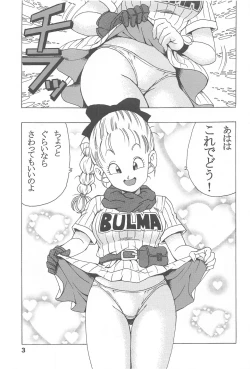 Page 4 of Bulma no Saikyou e no Michi