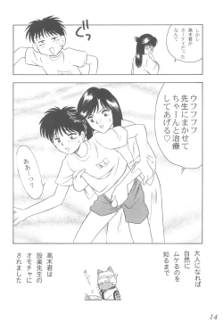 Page 13 of Praseodym