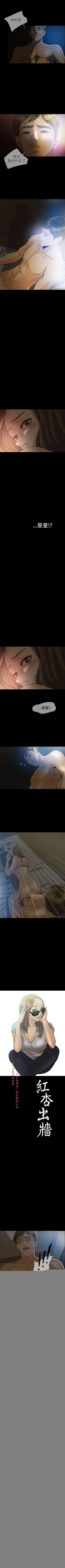 Page 21 of 紅杏出牆 1-41
