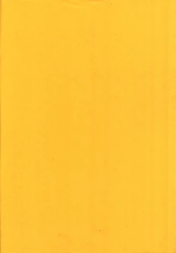 Page 31 of Kinjirareta Asobi