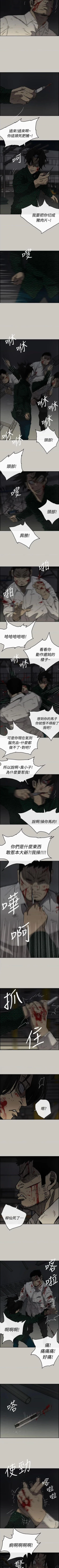 Page 296 of MAD:小姐與司機57