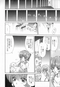 Page 19 of Terrarium