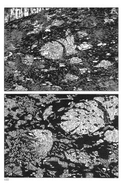 Page 155 of DDTMiminashi-Hohichi in The Dark