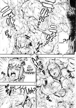 Page 14 of MonHun BON