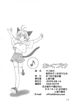 Page 14 of Nekomimi ga, Kakitakatta dake na Hon