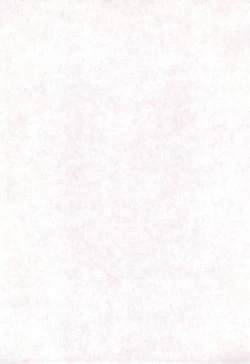 Page 3 of LITTLE MoMo