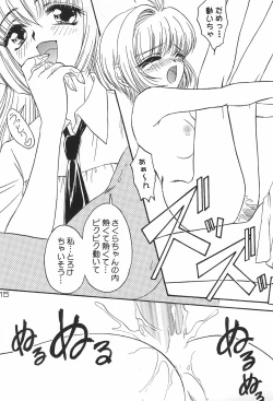 Page 17 of SAKURA H-TUNE 2