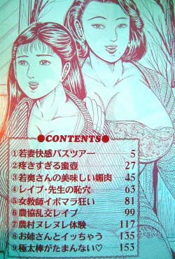 Page 2 of Kyonyuu Oku-sama wa Inran Zakari